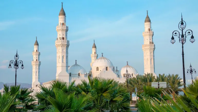 Photo of الوقف الإسلامي.. هندسة الاستدامة قبل عصر المؤسسات (فيديو)