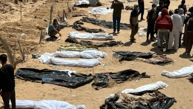 Photo of بتسيلم: الإبادة الجماعية أصبحت رسميا  جزءا من سردية إسرائيل