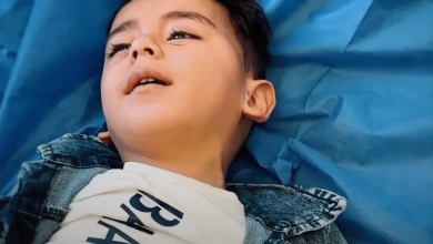 Photo of رغم انهيار القطاع الصحي.. عملية معقدة تنقذ طفلا في غزة من إعاقة دائمة (شاهد)