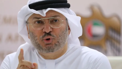 Photo of الإمارات تنتقد ضعف الدول الخليجية الحليفة في مواجهة إيران (شاهد)