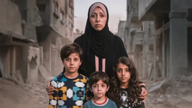 Photo of أطفال عائلة الشيخ.. نجوا من الإبادة في غزة فاختطفتهم الحكومة الفرنسية