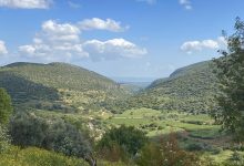 Photo of حالة الطقس: أجواء صافية ولطيفة