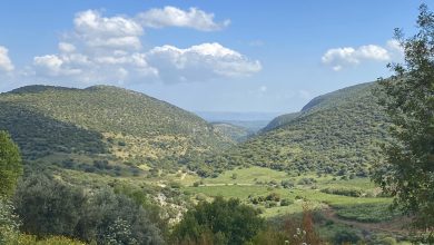 Photo of حالة الطقس: أجواء صافية ولطيفة