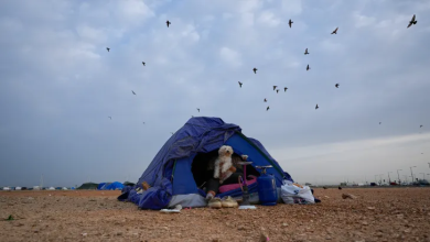 Photo of برنامج الأغذية العالمي: لبنان يشهد أحد أخطر أوجه انعدام الأمن الغذائي