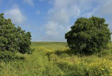 Photo of حالة الطقس: موجة حارة متصاعدة حتى الخميس