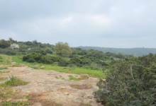 Photo of حالة الطقس: معتدل مع فرص لأمطار متفرقة