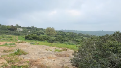 Photo of حالة الطقس: معتدل مع فرص لأمطار متفرقة