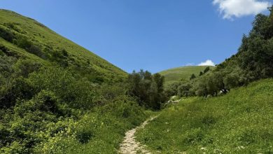 Photo of حالة الطقس: ارتفاع آخر في درجات الحرارة