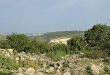 Photo of حالة الطقس: ارتفاع طفيف في درجات الحرارة