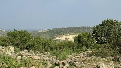 Photo of حالة الطقس: ارتفاع طفيف في درجات الحرارة