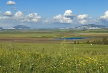 Photo of حالة الطقس: أجواء ربيعية