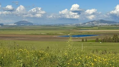 Photo of حالة الطقس: أجواء ربيعية