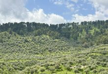 Photo of حالة الطقس: ارتفاع تدريجي على درجات الحرارة.. وأجواء حارة نهاية الأسبوع