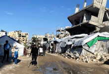 Photo of القوارض تنشر الأمراض في غزة وإسرائيل تمنع مكافحتها (شاهد)