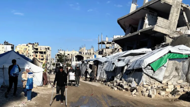 Photo of القوارض تنشر الأمراض في غزة وإسرائيل تمنع مكافحتها (شاهد)