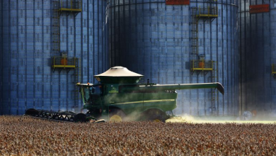 Photo of حرب إيران شرارة اندلاع أزمة غذائية عالمية