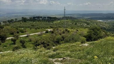 Photo of حالة الطقس: ارتفاع طفيف في درجات الحرارة