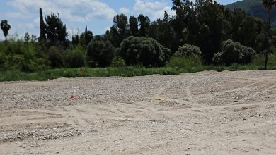 Photo of انتهاكات متصاعدة.. مواطن يهودي يطمس مساحة واسعة من مقبرة القسام بزعم ملكيته لها