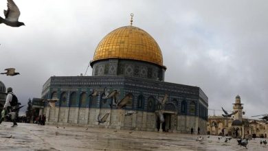 Photo of إعادة فتح الأقصى بعد 40 يوماً من الإغلاق.. آلاف المصلين يؤدون فجر الخميس