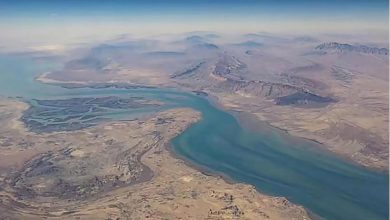 Photo of بريطانيا تقود محادثات دولية لتشكيل تحالف وإعادة فتح مضيق هرمز وسط غياب أمريكي