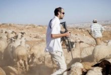 Photo of مستوطنون يعتدون على أراضي زراعية في بيت أمر ومسافر يطا ويمنعون المزارعين من العمل