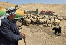 Photo of الأغوار الشمالية تستغيث: إرهاب المستوطنين يطارد الفلسطينيين بين العطش والجوع والتهجير