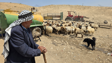 Photo of الأغوار الشمالية تستغيث: إرهاب المستوطنين يطارد الفلسطينيين بين العطش والجوع والتهجير