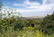 Photo of حالة الطقس: غائم جزئيا إلى صاف