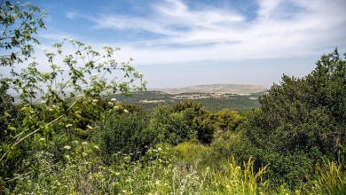 Photo of حالة الطقس: غائم جزئيا إلى صاف