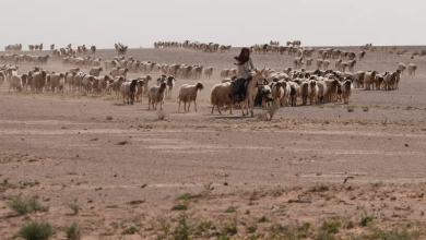 Photo of موقعان لا موقع واحد.. نيويورك تايمز تكشف خفايا “الإنزال الإسرائيلي” بالعراق (فيديو)
