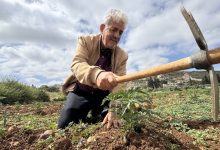 Photo of “هذه أرضي”.. مغترب فلسطيني عاد ليقاوم التجريف والمستوطنين