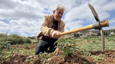 Photo of “هذه أرضي”.. مغترب فلسطيني عاد ليقاوم التجريف والمستوطنين