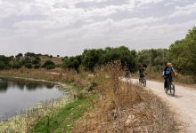Photo of حالة الطقس: غائم جزئيا إلى صاف