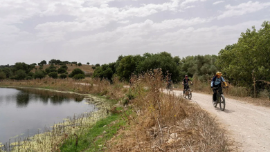 Photo of حالة الطقس: غائم جزئيا إلى صاف