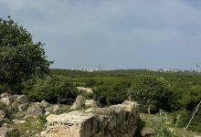 Photo of حالة الطقس: استمرار تأثر البلاد بالكتلة الهوائية الباردة