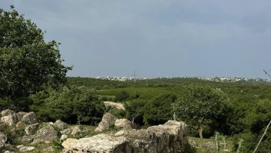 Photo of حالة الطقس: استمرار تأثر البلاد بالكتلة الهوائية الباردة