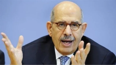 Photo of البرادعي يشن هجوما على شخصيات لم يسمها: معتوه في عصر الخداع والمهانة