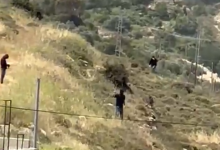 Photo of تصعيد اعتداءات المستوطنين.. إصابات وحرق ممتلكات فلسطينية في الضفة وسط حماية جيش الاحتلال (شاهد)