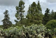 Photo of حالة الطقس: غائم جزئيا إلى صاف