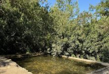Photo of حالة الطقس: أجواء معتدلة حتى نهاية الأسبوع