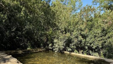 Photo of حالة الطقس: أجواء معتدلة حتى نهاية الأسبوع