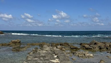 Photo of حالة الطقس: ارتفاع تدريجي على درجات الحرارة حتى الأربعاء