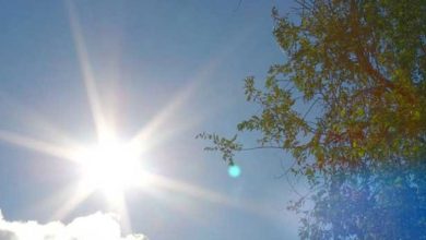 Photo of ارتفاع تدريجي على درجات الحرارة خلال الأيام المقبلة وأجواء حارة نسبيًا