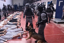 Photo of شهادات مروعة من معتقلين فلسطينيين.. انتهاكات جنسية وتعذيب ممنهج داخل السجون الإسرائيلية (فيديو)