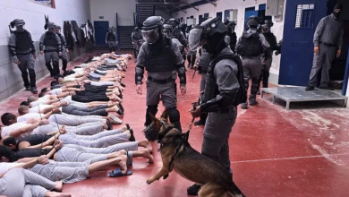 Photo of شهادات مروعة من معتقلين فلسطينيين.. انتهاكات جنسية وتعذيب ممنهج داخل السجون الإسرائيلية (فيديو)