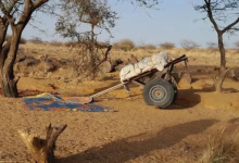 Photo of “أكلنا أوراق الشجر”.. نازحو أورشي بالسودان يقضون أسبوعا بالعراء بين جوع وعطش (شاهد)