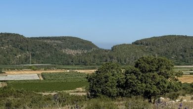 Photo of حالة الطقس: أجواء حارة نسبيا