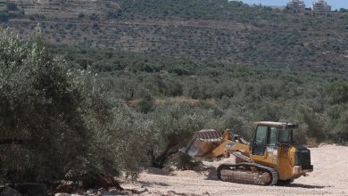 Photo of قرية “مردا” بالضفة.. الاستيطان الإسرائيلي يقتلع زيتونها ويبتلع أراضيها