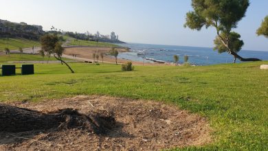 Photo of انخفاض طفيف على درجات الحرارة الجمعة واستقرار الأجواء حتى مطلع الأسبوع
