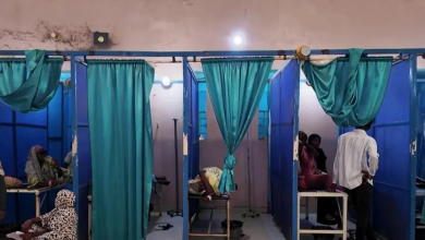 Photo of حمى الضنك تجتاح الدمازين السودانية.. آلاف الإصابات وجهود لاحتواء التفشي